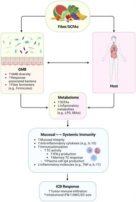 Eating away cancer: the potential of diet and the microbiome for shaping immunotherapy outcome